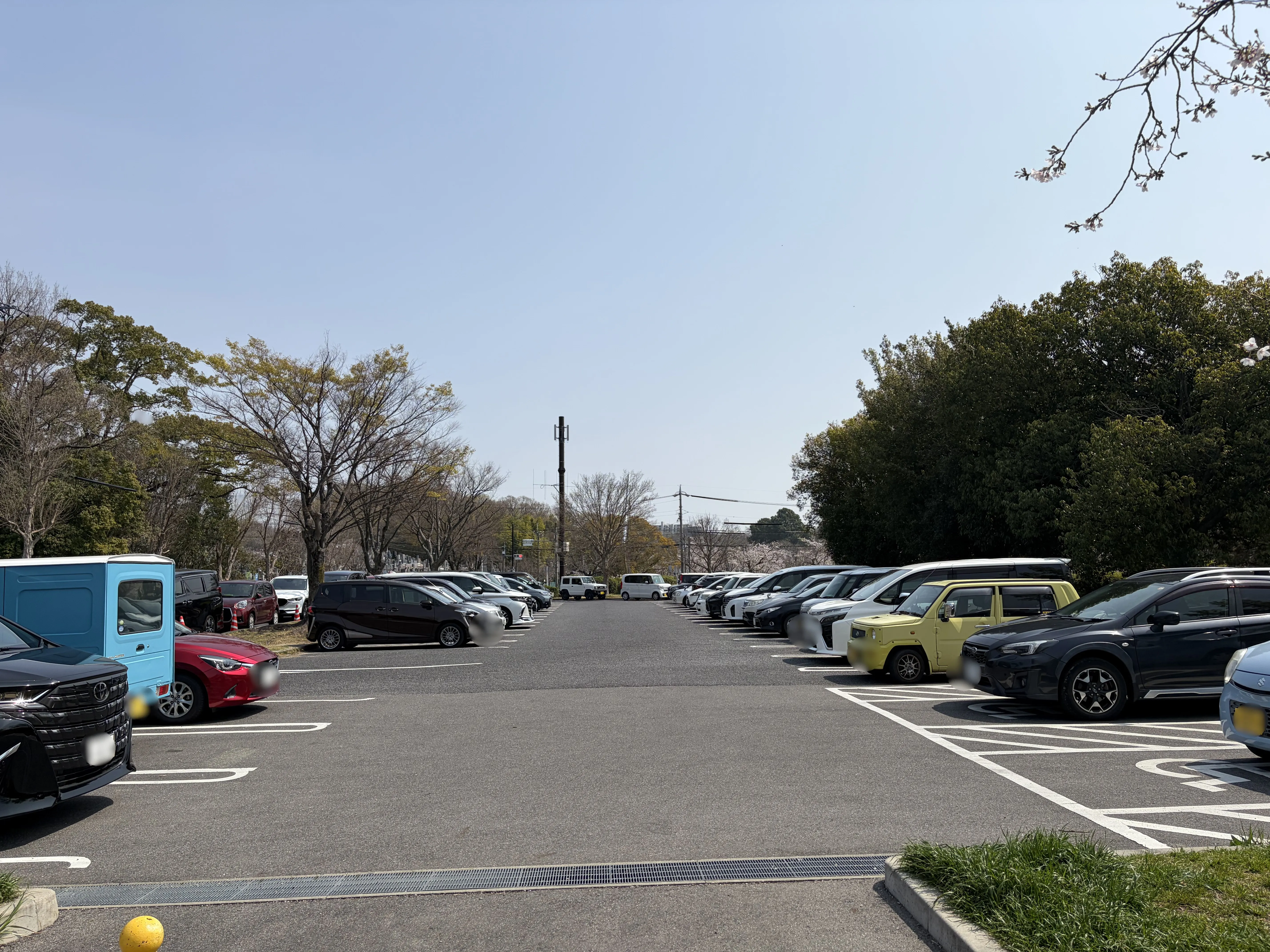 平和公園の駐車場の様子