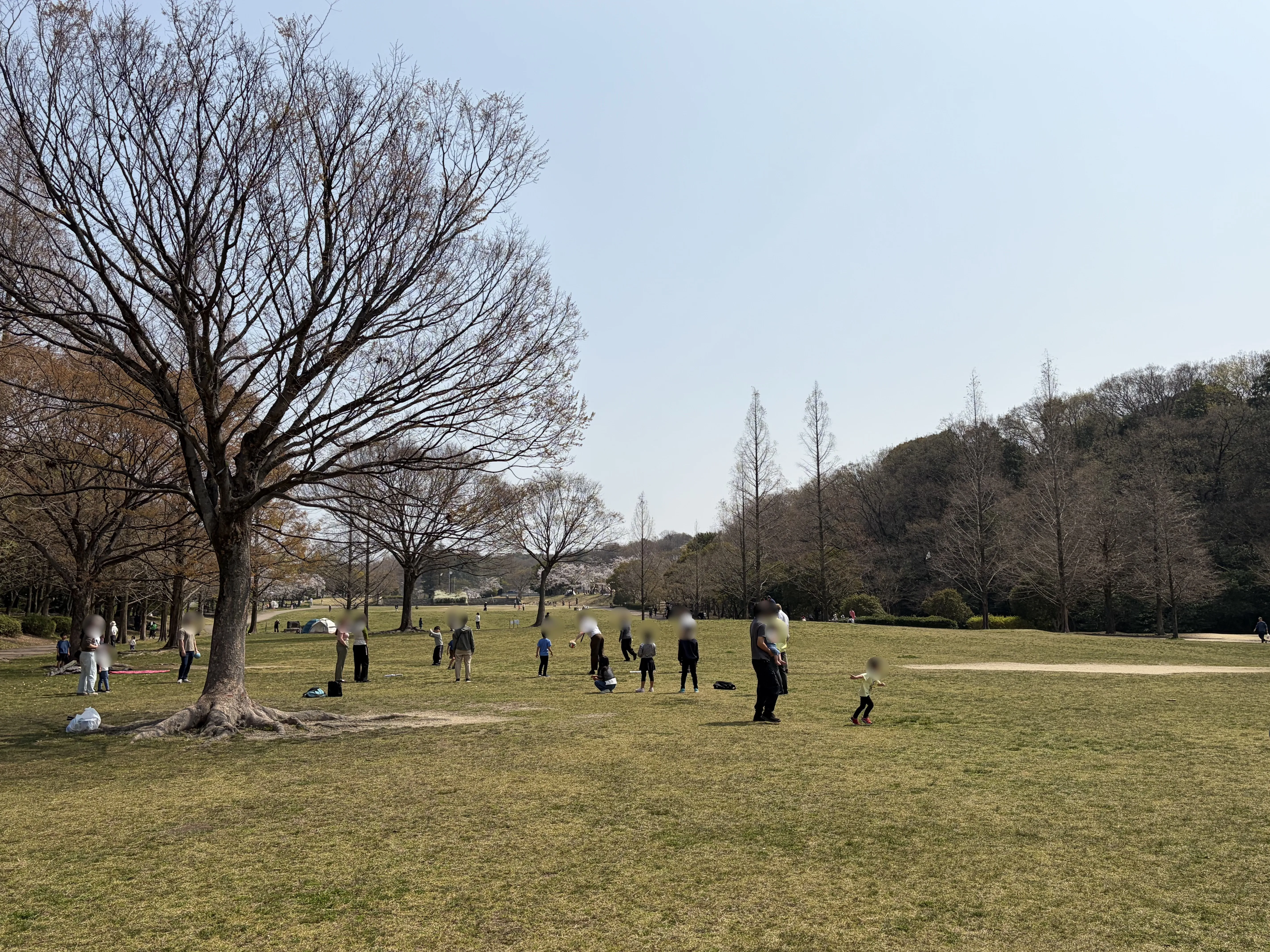 平和公園でボール遊びを楽しむ様子