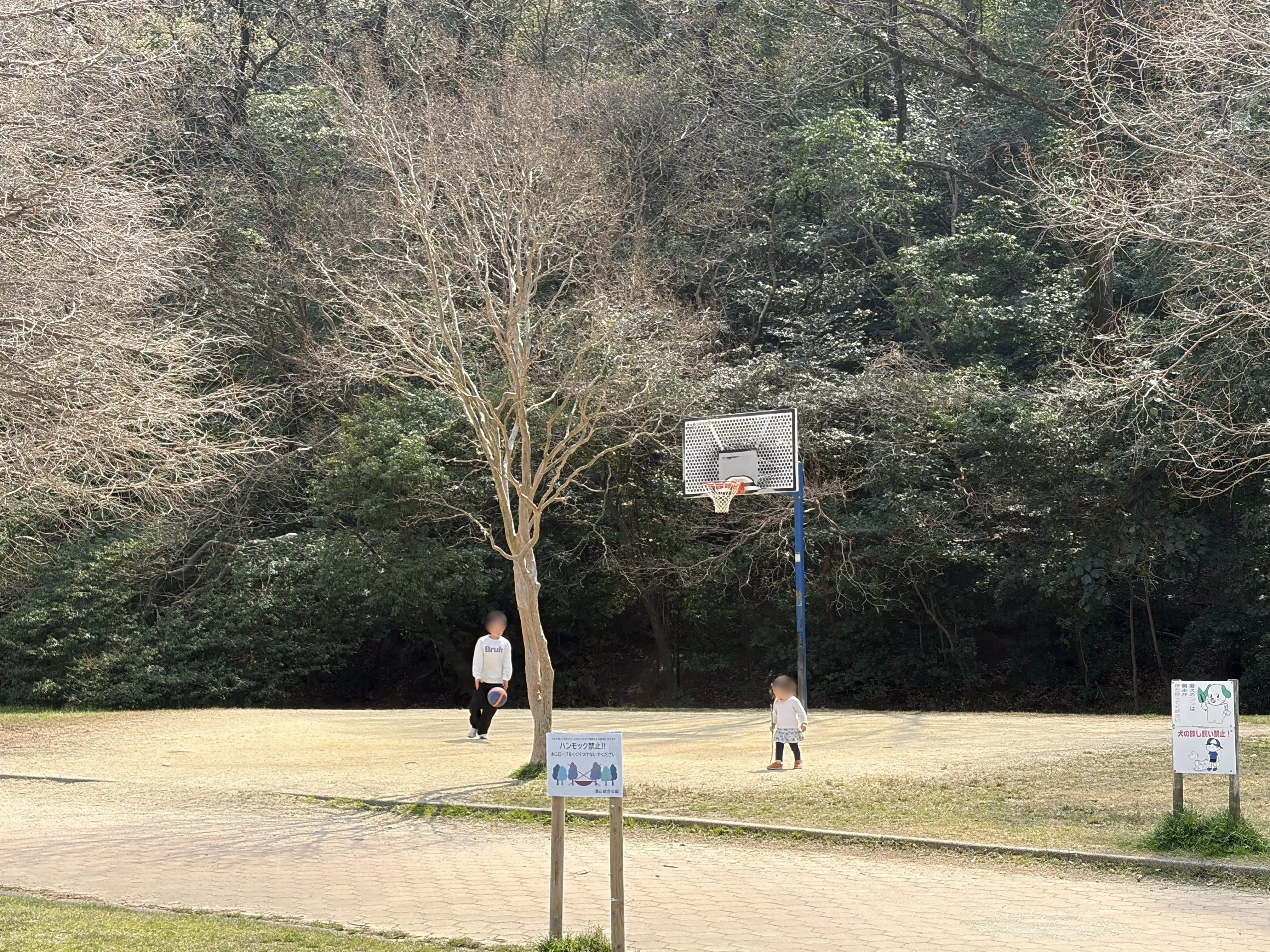 平和公園内のバスケットゴール