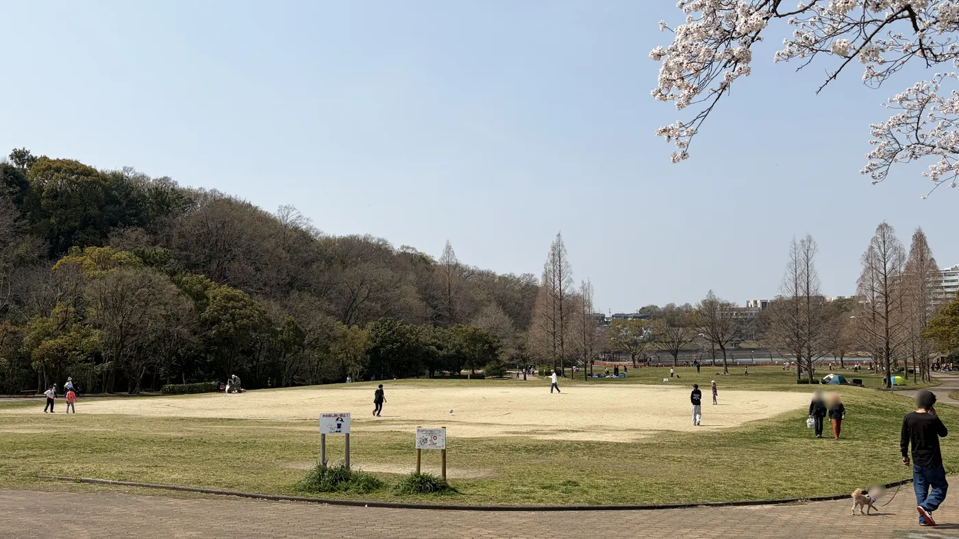 【名古屋】平和公園の完全ガイド｜子連れでの遊び方・駐車場・ピクニック情報まとめ