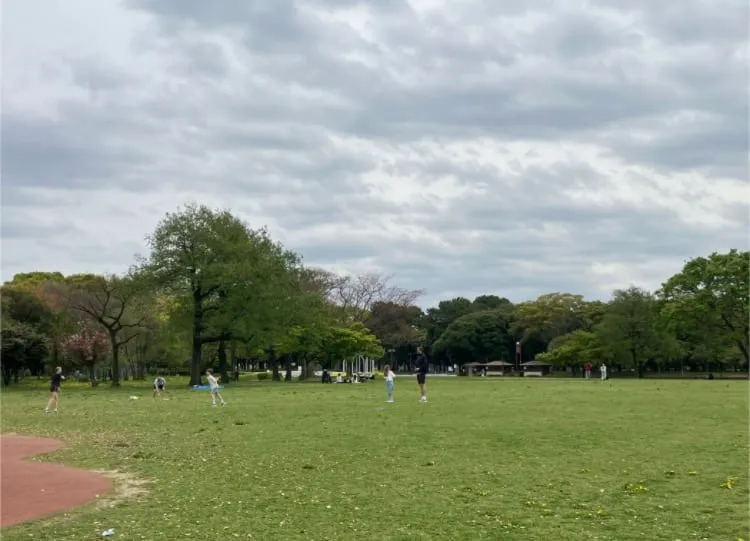 芝生広場でのびのび遊ぶ子どもたち