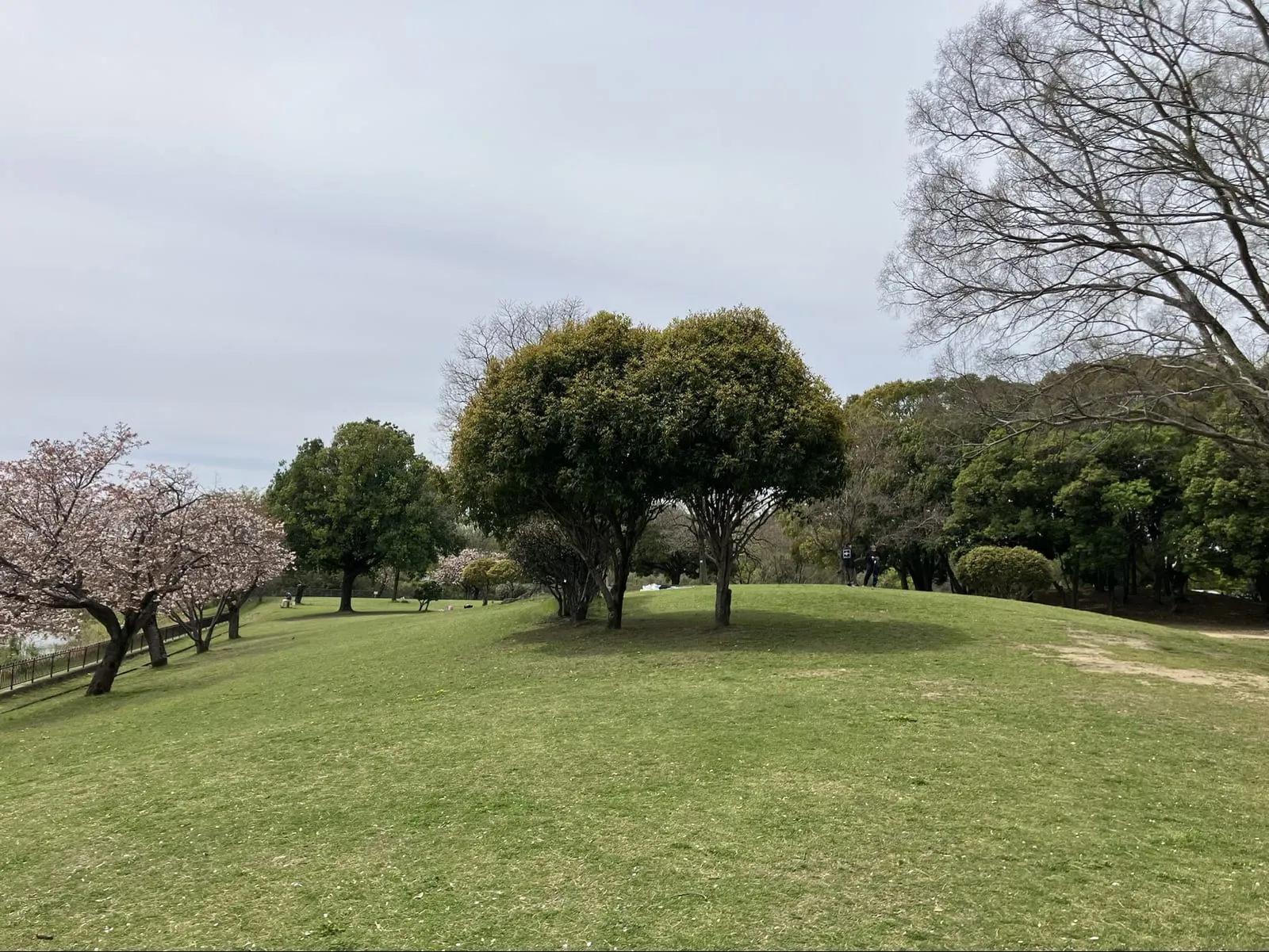 色とりどりの大型複合遊具