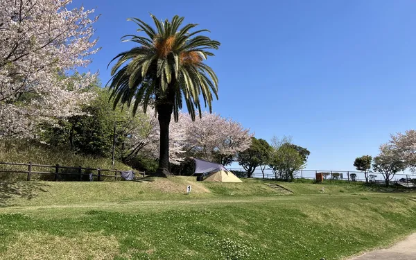 【愛知・東海市】聚楽園公園キャンプ場 完全ガイド｜無料で泊まれる！予約方法とファミリーにおすすめのサイト