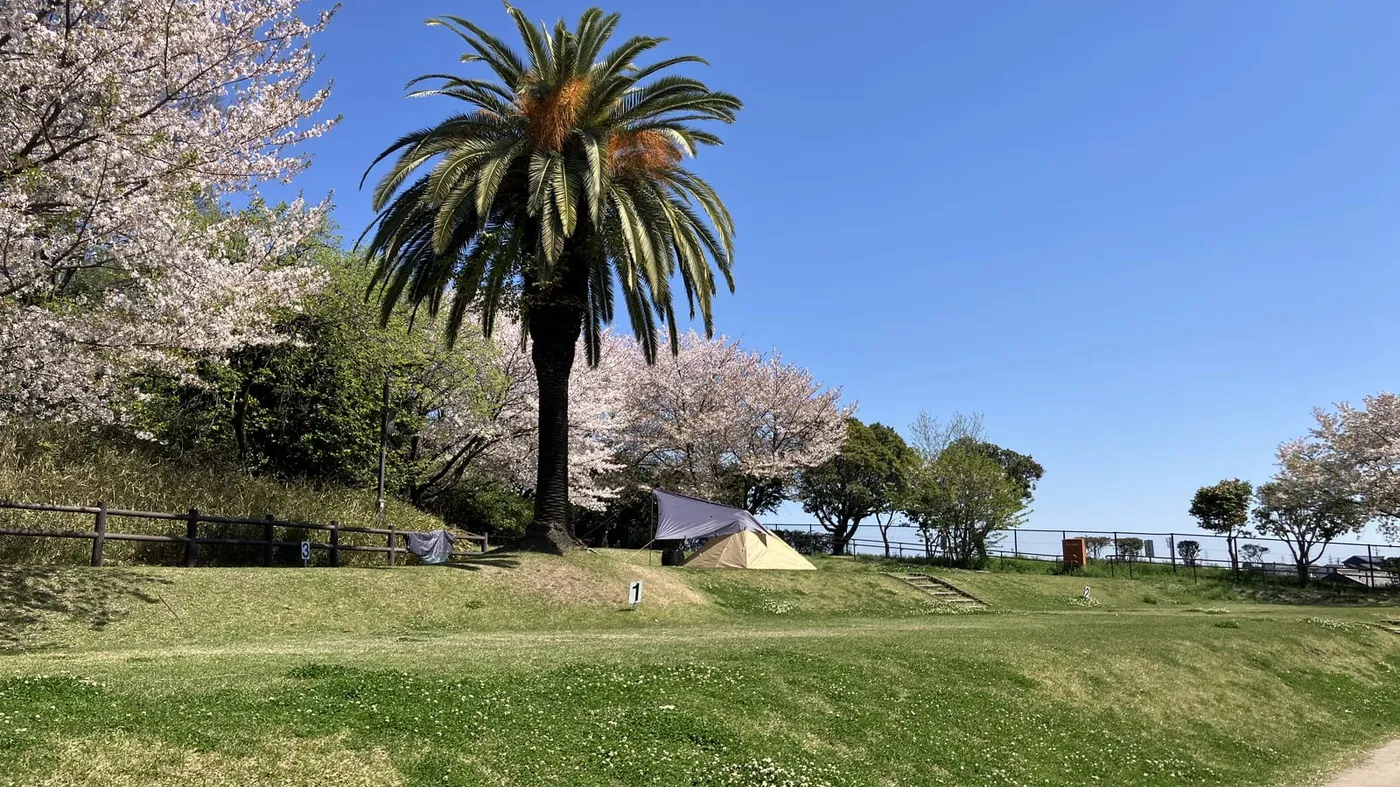 【愛知・東海市】聚楽園公園キャンプ場 完全ガイド｜無料で泊まれる！予約方法とファミリーにおすすめのサイト