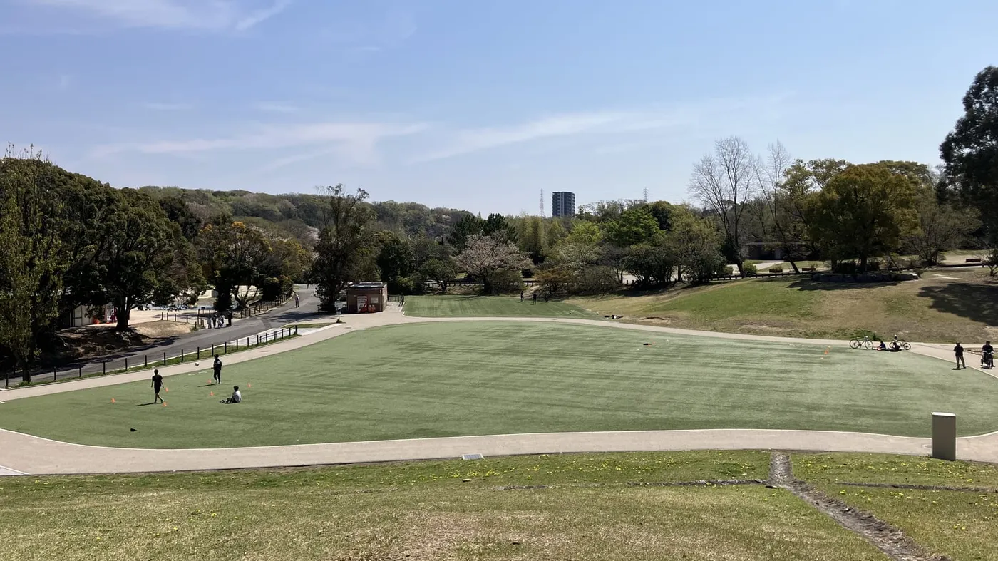 広々とした芝生の公園